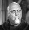 fester